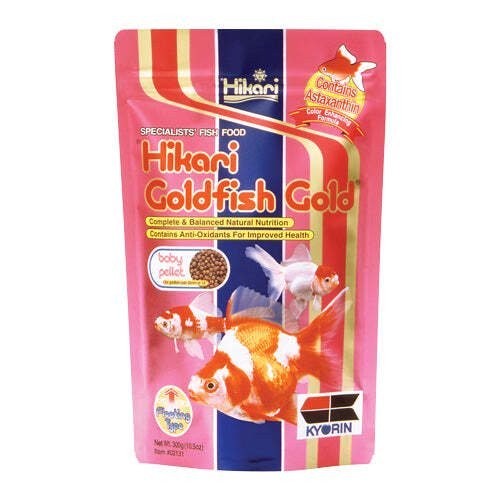 Hikari goldfish gold baby - goldfish,