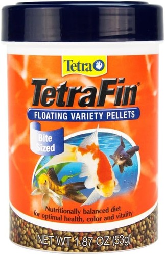 Tetra goldfish variety - tetra,